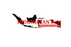 Pembasmian kecoak  Pembasmian kutu & tungau  Pembasmian kutu tempat tidur  Pembasmian laba-laba  Pembasmian lebah  Pembasmian semut  Pembasmian tikus  Pembasmian hewan liar umum  Pembasmian lebah  Pembasmian nyamuk  Pembasmian rayap  Pembasmian serangga & kutu  Pemeriksaan hama umum  Pemeriksaan rayap  Pemeriksaan rumah Jasa Fogging Di Jakarta Jasa Fogging Di Jakarta Selatan Jasa Fogging Di Jakarta Pusat Jasa Fogging Di Jakarta Barat Jasa Fogging Di Jakarta Timur Jasa Fogging Di Jakarta Utara Jasa Fogging Di Bogor Jasa Fogging Di Depok Jasa Fogging Di Tangerang Selatan Jasa Fogging Di Bekasi Jasa Anti Rayap Di Jakarta Jasa Anti Rayap Di Bogor Jasa Anti Rayap Di Depok Jasa Anti Rayap Di Tangerang Jasa Anti Rayap Di Bekasi Jasa Anti Rayap Jasa Anti Rayap Rumah Jasa Anti Rayap Perumahan Jasa Anti Rayap Kantor Jasa Anti Rayap Hotel Jasa Anti Rayap Restoran Jasa Anti Rayap Gudang Jasa Anti Rayap Pabrik Jasa Anti Rayap Bangunan Jasa Anti Rayap Pra Kontruksi  Jasa Anti Rayap Pasca Kontruksi  Anti Rayap Anti Rayap Di Jakarta Anti Rayap Di Bogor Anti Rayap Di Depok Anti Rayap Di Tangerang Anti Rayap Di Bekasi Anti Rayap Rumah Anti Rayap Perumahan Anti Rayap Kantor Anti Rayap Hotel Anti Rayap Restoran Anti Rayap Gudang Anti Rayap Pabrik Anti Rayap Bangunan Jasa Pembasmi Rayap  Pembasmi Rayap  Jasa Basmi Rayap  Basmi Rayap  Jasa Pest Control Rayap  Pest Control Rayap  Jasa Pest Control  Pest Control  Jasa Pest Control Hotel  Jasa Pest Control Cafe  Jasa Pest Control Restoran  Jasa Pest Control Kantor  Jasa Fogging  Fogging  Pembasmi Hama  Jasa Basmi Hama  Basmi Hama  Jasa Fumigasi  Fumigasi  Jasa Pembasmi Tikus  Jasa Pembasmi Kecoa  Jasa Pembasmi Nyamuk  Jasa Pembasmi Ular  Jasa Pembasmi Tawon  Jasa Pembasmi Semut  Jasa Pembasmi Lalat  Jasa Pembasmi Kutu Busuk  Jasa Pembasmi Tungau  Termite Control  General Pest Control  Rat Control  Cockroach Control  Residential Pest Control Service  House Pest Control Service  Factory Pest Control Service  Hospital Pest Control Service  Office Pest Control Service  Mall Pest Control Service  Mosquitoes Control  Termite Control Services  Termites Treatment  Thermal Fogging  Insect Control  Soil Treatment  Hotels Pest Control Service  Bed Bug Control  Snake Control  Disinfection Treatment  Mosquito Fogging Services  Pest Control Hotel  Pest Control Kantor  Pest Control Restoran  Pest Control Cafe  Jasa Pest Control Rumah Sakit  Pest Control Rumah Sakit  Jasa Fogging Nyamuk DBD  Jasa Fogging Nyamuk  Jasa Fogging Hotel  Jasa Fogging Kantor  Jasa Fogging Restoran  Jasa Fogging Gudang  Jasa Fogging Rumah  Jasa Fogging Perumahan  Jasa Fogging Komplek  Jasa Fogging Pabrik